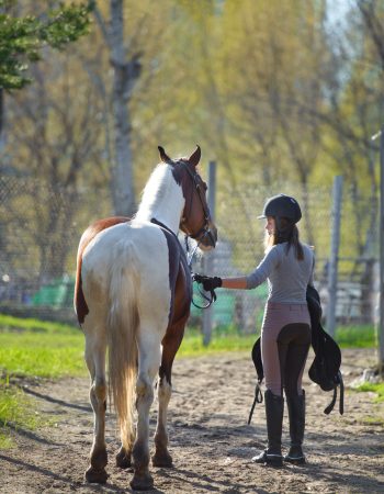 girl-sportswoman-and-her-horse-back-to-the-stables-2026-03-26-05-41-52-utc (1)